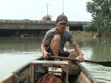 Cerita Tajudin Pencari Cacing Sutera Berjuang Demi Keluarga