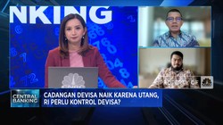 Cadangan Devisa Naik Karena Utang, RI Perlu Kontrol Devisa?