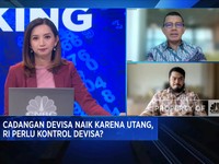 Cadangan Devisa Naik Karena Utang, RI Perlu Kontrol Devisa?