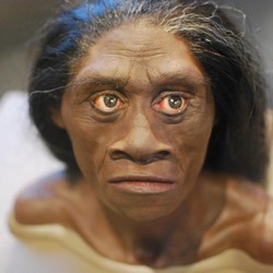 Indonesia Pernah Punya Manusia Hobbit, Tinggalnya di Pulau Ini