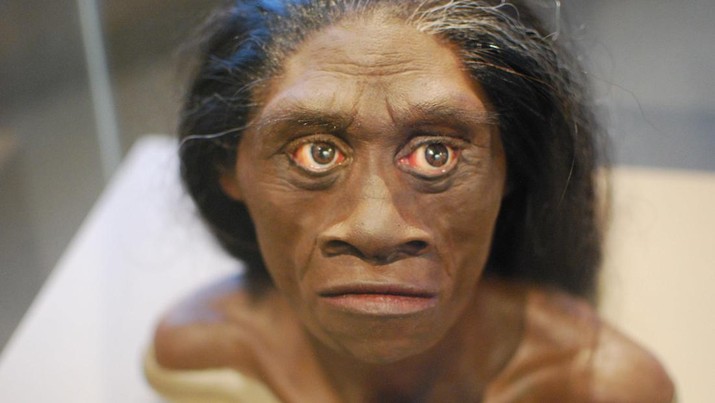 Ilustrasi Homo Floresiensis yang fosilnya ditemukan di Flores.