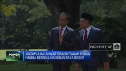 Jokowi Ajak Anwar Ibrahim Lakukan Hal Ini di Kebun Raya Bogor