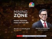Simak! Wamen BUMN Buka-bukaan Soal Masa Depan Tambang RI