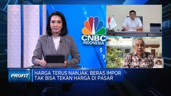 Beras Impor Tak Bisa Tekan Harga Di Pasar, Apa Penyebabnya?
