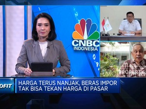 Beras Impor Tak Bisa Tekan Harga Di Pasar, Apa Penyebabnya?
