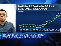 Video: Harga Beras Meroket, Pedagang Minta Bulog "Ditegur"