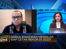 Video: Harga Emas Melesat, Cuan Penambang Emas Kian Cemerlang
