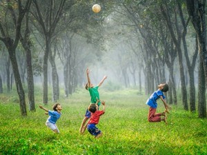 Hari Lingkungan Hidup Indonesia 10 Januari dan Upaya Menjaga Lingkungan