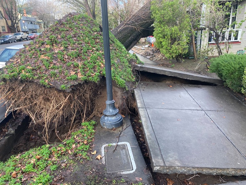 Uvas Creek membanjiri bagian Miller Avenue di Gilroy, California, saat rangkaian terbaru sungai di atmosfer menghantam Bay Area pada Senin, 9 Januari 2023. Uvas Creek membanjiri bagian Miller Avenue di Gilroy, California, saat rangkaian terbaru sungai di atmosfer menghantam Bay Area pada Senin, 9 Januari 2023. (Dai Sugano/Bay Area News Group via AP)