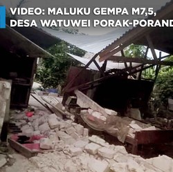 Video: Maluku Gempa M7,5, Desa Watuwei Porak-poranda