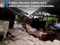 Video: Maluku Gempa M7,5, Desa Watuwei Porak-poranda