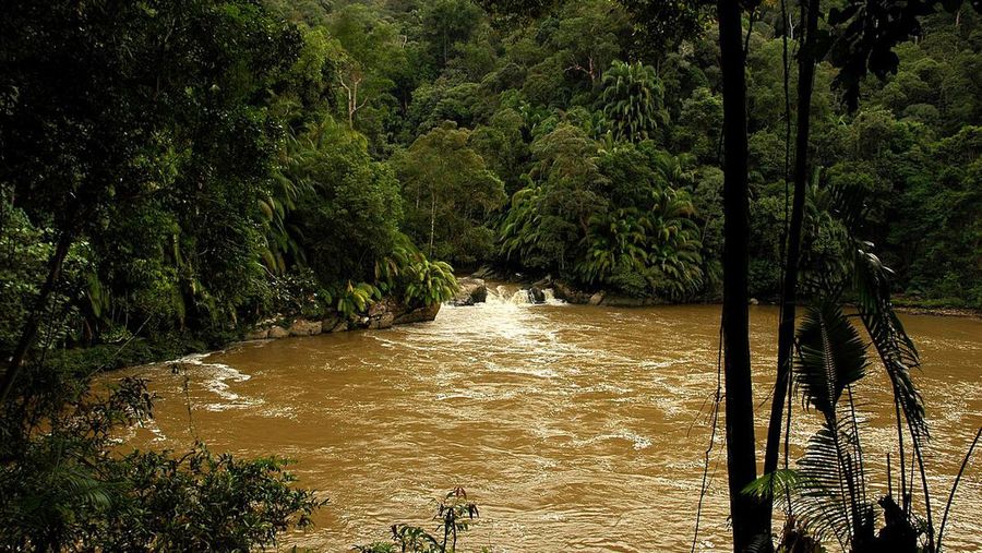 Hulu Kayan Mentarang di Kalimantan