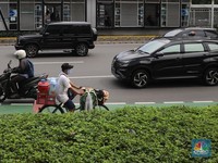 Kian Menjamur, Potret Starling di Tengah Hiruk-pikuk Jakarta