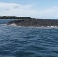 Nongol Pulau Baru Pasca Gempa di Maluku, Bisa Jadi Permanen!
