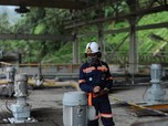 6 Saham Emas Ngacir Mulu Nih, Udah Punya?