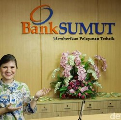 Jreng, Bank Sumut Batal IPO! Ada Apa?