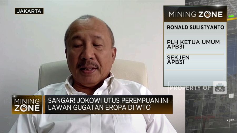 Dukung Ambisi Hilirisasi Bauksit Jokowi, Penambang Terkendala Ini (CNBC Indonesia TV)