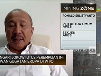 Dukung Ambisi Hilirisasi Bauksit RI, Penambang Terkendala Ini