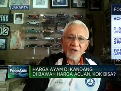 Video: Harga Ayam di Kandang Di Bawah Harga Acuan, Kok Bisa?