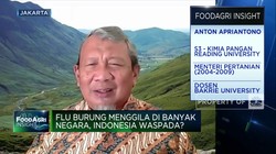 Tangkal Flu Burung Masuk RI, Mantan Mentan Dorong Vaksinasi!
