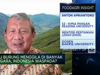 Tangkal Flu Burung Masuk RI, Mantan Mentan Dorong Vaksinasi!