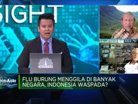 Tantangan RI Cegah Flu Burung Yang Menggila di Banyak Negara