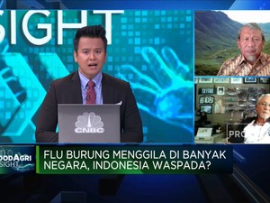 Tantangan RI Cegah Flu Burung Yang Menggila di Banyak Negara