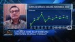 Bukan Rezim  Kontrol Devisa, Ini Arah Revisi Aturan DHE