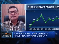 Bukan Rezim  Kontrol Devisa, Ini Arah Revisi Aturan DHE