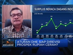 Bukan Rezim  Kontrol Devisa, Ini Arah Revisi Aturan DHE