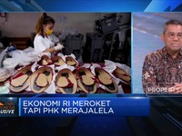 PHK Merajalela, Tim Sri Mulyani Siap Gelontorkan Insentif