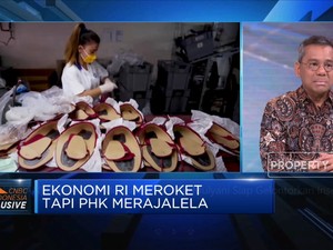 PHK Merajalela, Tim Sri Mulyani Siap Gelontorkan Insentif