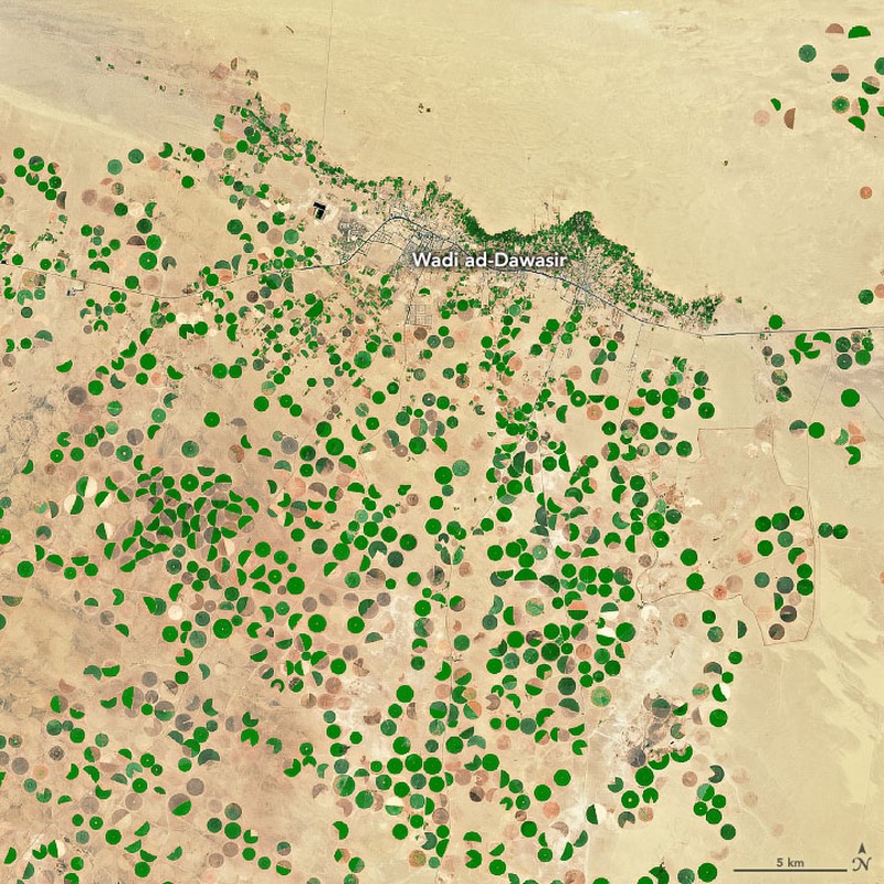 Dalam pemandangan yang tiba-tiba dan langka yang muncul dengan jelas pada citra satelit, vegetasi hijau menutupi beberapa wilayah di Arab Saudi bagian barat, yang dianggap sebagai tempat dengan iklim gurun yang kering yang mengubah wilayah gurun menjadi kawasan hijau. (Dok: NASA) Dalam pemandangan yang tiba-tiba dan langka yang muncul dengan jelas pada citra satelit, vegetasi hijau menutupi beberapa wilayah di Arab Saudi bagian barat, yang dianggap sebagai tempat dengan iklim gurun yang kering yang mengubah wilayah gurun menjadi kawasan hijau. (Dok: NASA)