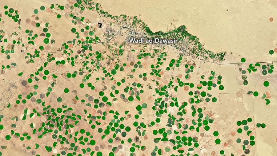 Dalam pemandangan yang tiba-tiba dan langka yang muncul dengan jelas pada citra satelit, vegetasi hijau menutupi beberapa wilayah di Arab Saudi bagian barat, yang dianggap sebagai tempat dengan iklim gurun yang kering yang mengubah wilayah gurun menjadi kawasan hijau. (Dok: NASA)