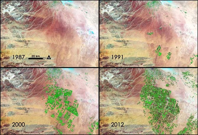Dalam pemandangan yang tiba-tiba dan langka yang muncul dengan jelas pada citra satelit, vegetasi hijau menutupi beberapa wilayah di Arab Saudi bagian barat, yang dianggap sebagai tempat dengan iklim gurun yang kering yang mengubah wilayah gurun menjadi kawasan hijau. (Dok: NASA)