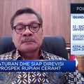 Pemerintah Jamin Pengusaha Yang Ikut Aturan DHE Tak Akan Rugi