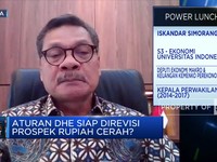 Pemerintah Jamin Pengusaha Yang Ikut Aturan DHE Tak Akan Rugi