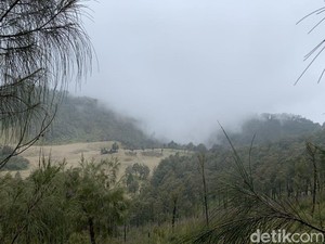 Pendakian Gunung Butak: Jalur, Daya Tarik, Tiket Masuk, dan Waktu Tempuh