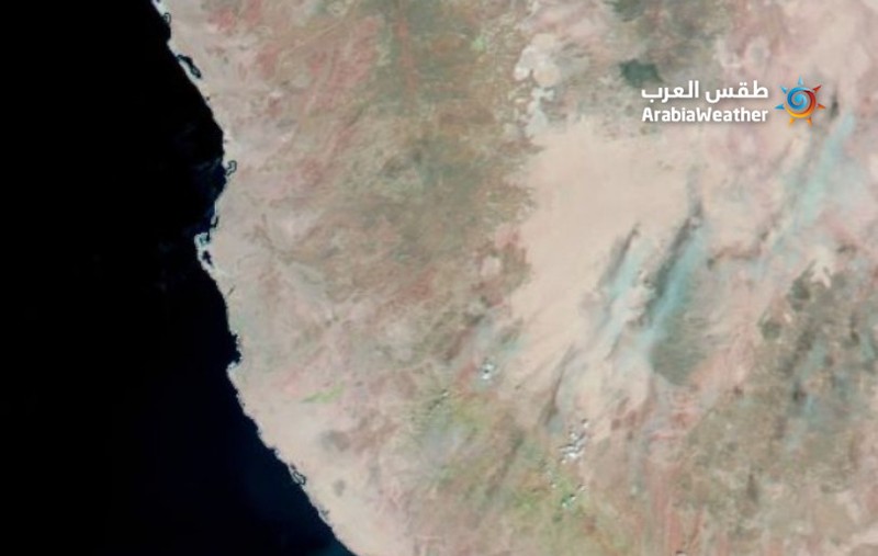 Dalam pemandangan yang tiba-tiba dan langka yang muncul dengan jelas pada citra satelit, vegetasi hijau menutupi beberapa wilayah di Arab Saudi bagian barat, yang dianggap sebagai tempat dengan iklim gurun yang kering yang mengubah wilayah gurun menjadi kawasan hijau. (Dok: NASA) Dalam pemandangan yang tiba-tiba dan langka yang muncul dengan jelas pada citra satelit, vegetasi hijau menutupi beberapa wilayah di Arab Saudi bagian barat, yang dianggap sebagai tempat dengan iklim gurun yang kering yang mengubah wilayah gurun menjadi kawasan hijau. (Dok: NASA)