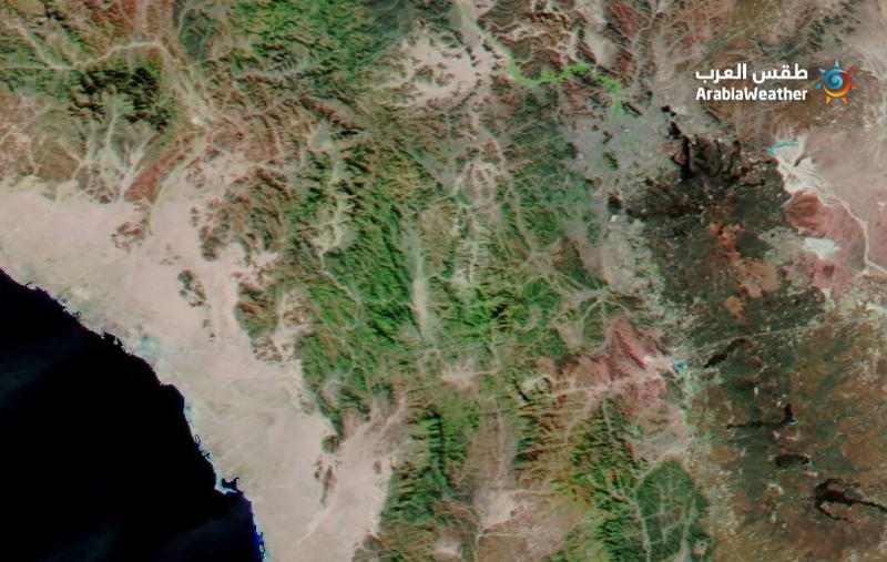 Dalam pemandangan yang tiba-tiba dan langka yang muncul dengan jelas pada citra satelit, vegetasi hijau menutupi beberapa wilayah di Arab Saudi bagian barat, yang dianggap sebagai tempat dengan iklim gurun yang kering yang mengubah wilayah gurun menjadi kawasan hijau. (Dok: NASA) Dalam pemandangan yang tiba-tiba dan langka yang muncul dengan jelas pada citra satelit, vegetasi hijau menutupi beberapa wilayah di Arab Saudi bagian barat, yang dianggap sebagai tempat dengan iklim gurun yang kering yang mengubah wilayah gurun menjadi kawasan hijau. (Dok: NASA)