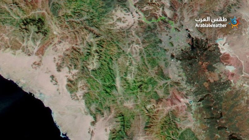 Dalam pemandangan yang tiba-tiba dan langka yang muncul dengan jelas pada citra satelit, vegetasi hijau menutupi beberapa wilayah di Arab Saudi bagian barat, yang dianggap sebagai tempat dengan iklim gurun yang kering yang mengubah wilayah gurun menjadi kawasan hijau. (Dok: NASA)
