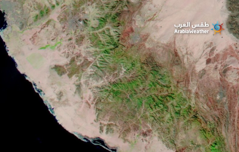 Dalam pemandangan yang tiba-tiba dan langka yang muncul dengan jelas pada citra satelit, vegetasi hijau menutupi beberapa wilayah di Arab Saudi bagian barat, yang dianggap sebagai tempat dengan iklim gurun yang kering yang mengubah wilayah gurun menjadi kawasan hijau. (Dok: NASA) Dalam pemandangan yang tiba-tiba dan langka yang muncul dengan jelas pada citra satelit, vegetasi hijau menutupi beberapa wilayah di Arab Saudi bagian barat, yang dianggap sebagai tempat dengan iklim gurun yang kering yang mengubah wilayah gurun menjadi kawasan hijau. (Dok: NASA)