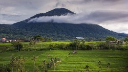 Keindahan Gunung Batukaru: Jalur Meditasi dan Jejak Mitologi Bali