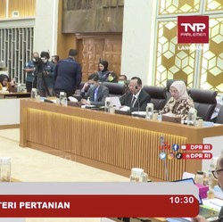 Saat Harga Beras Gila-gilaan, Bulog-Bapanas ke DPR ada apa?