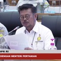 Menteri Jokowi Pamer Produksi Padi di Atas Target, Kok Impor?