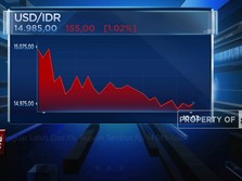 Video: Menguat Lebih Dari 1%, Rupiah Tembus Rp 14.985/USD