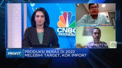 Kementan Sebut Produksi Beras 2022 Melebih Target, Kok Impor?