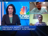 Kementan Sebut Produksi Beras 2022 Melebih Target, Kok Impor?
