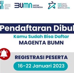 Situs Program Magenta BUMN Down, Ada Apa?