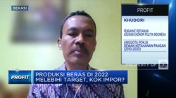 Sudah Impor Tapi Harga Beras Masih Naik, Apa  Solusinya?